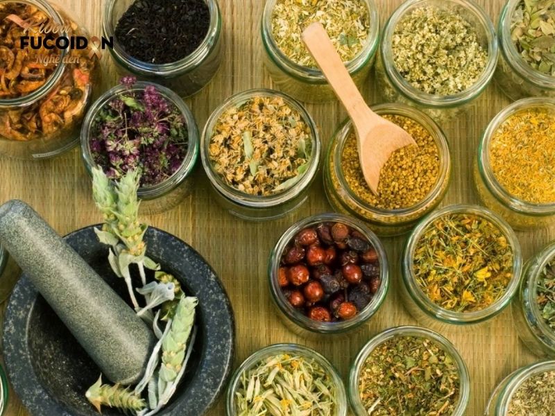Thuốc nam trị ung thư phổi có được không? Bóc trần sự thật Bài thuốc nam trị ung thư phổi