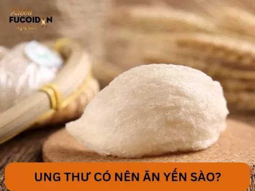 Bị ung thư có nên ăn yến sào không?- Sự thật ít ai biết