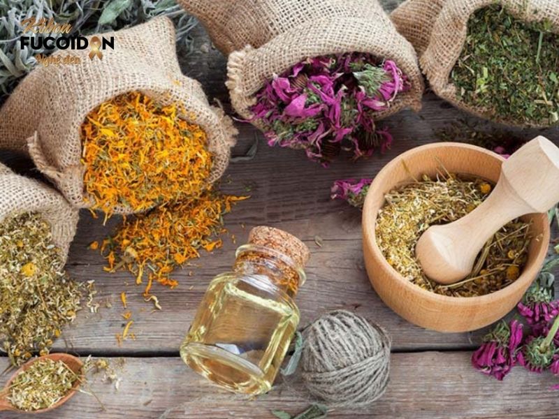 Thuốc nam trị ung thư phổi có được không? Bóc trần sự thật Trị ung thư phổi bằng thuốc nam cho hiệu quả chậm