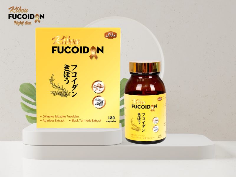 Sử dụng Kibou Fucoidan hỗ trợ bệnh nhân ung thư dạ dày Sử dụng Kibou Fucoidan hỗ trợ bệnh nhân ung thư dạ dày