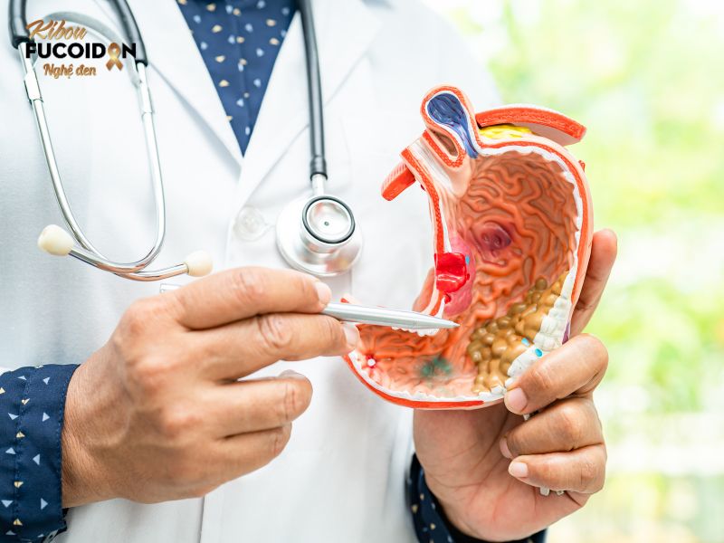 Các biện pháp điều trị ung thư dạ dày phổ biến hiện nay Ung thư dạ dày có thể chữa khỏi nếu phát hiện sớm