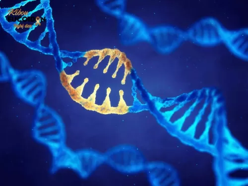 Đột biến gen là sự thay đổi vĩnh viễn trong trình tự DNA tạo nên một gen