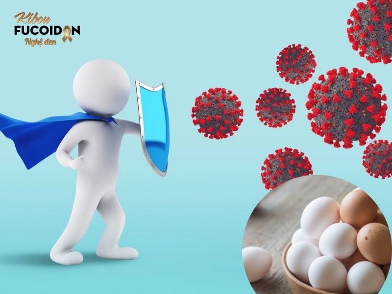 Giải đáp chi tiết: Ung thư có ăn được trứng gà không? Trứng gà giúp tăng cường hệ miễn dịch