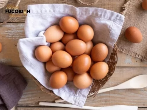 Giải đáp chi tiết: Ung thư có ăn được trứng gà không?