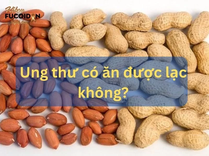 Chuyên gia giải đáp: Ung thư có ăn được lạc không? Ung thư có ăn được lạc không?