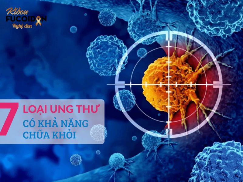 Bạn có biết: 7 loại ung thư có khả năng chữa khỏi? Tìm hiểu về 7 loại ung thư có khả năng chữa khỏi