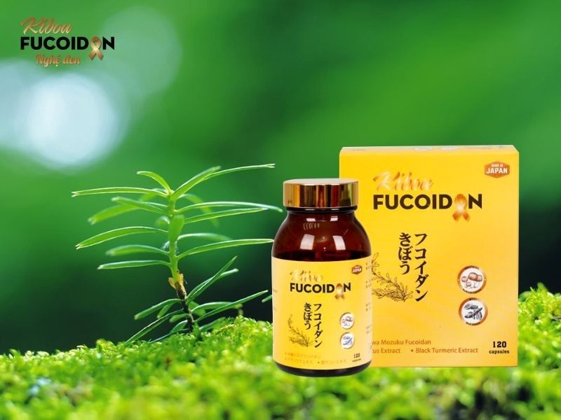Sản phẩm Kibou Fucoidan