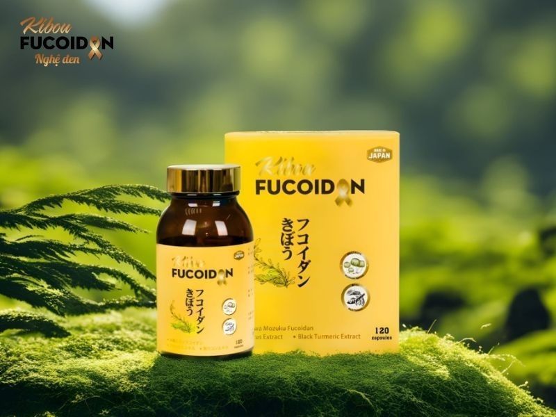 Tất tần tật các phương pháp điều trị ung thư vú Sản phẩm Kibou Fucoidan