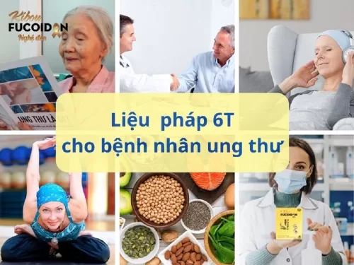 Liệu pháp 6T dành cho bệnh nhân ung thư