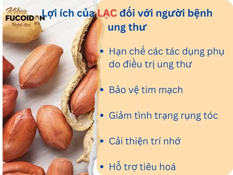 Chuyên gia giải đáp: Ung thư có ăn được lạc không? Lợi ích của lạc đối với bệnh nhân ung thư