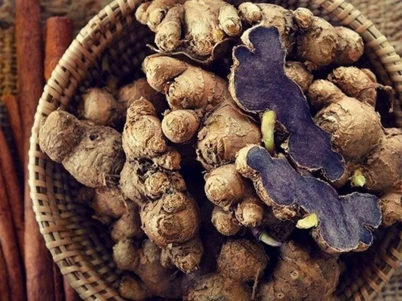 Thuốc Nam trị ung thư và những điều cần biết! Nghệ đen