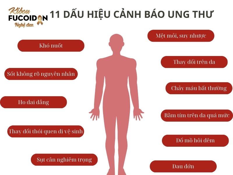 11 dấu hiệu cảnh báo ung thư sớm