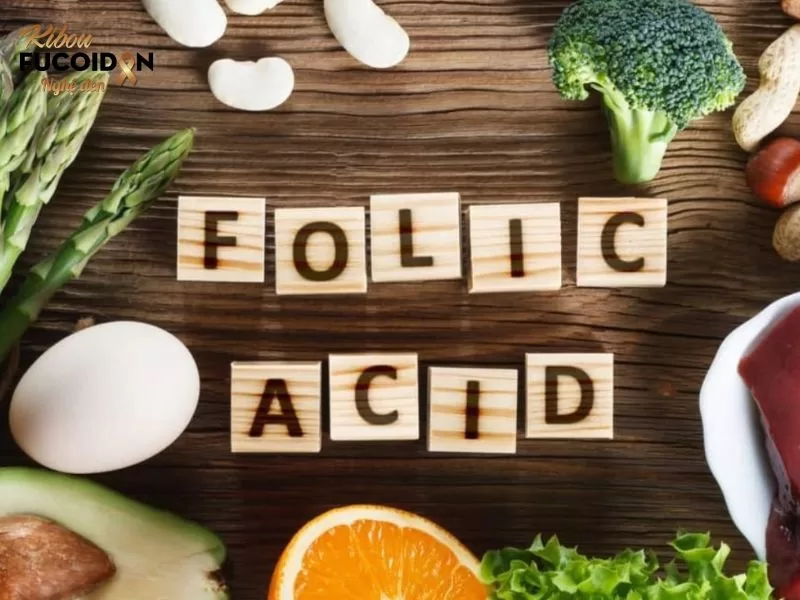 Giải đáp chi tiết: Bệnh nhân ung thư ăn gì để tăng hồng cầu? Thực phẩm giàu axit folic hỗ trợ việc sản xuất và phát triển các tế bào