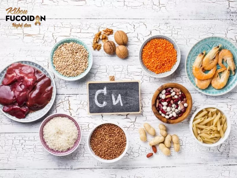 Giải đáp chi tiết: Bệnh nhân ung thư ăn gì để tăng hồng cầu? Các thực phẩm giàu đồng người ung thư nên bổ sung