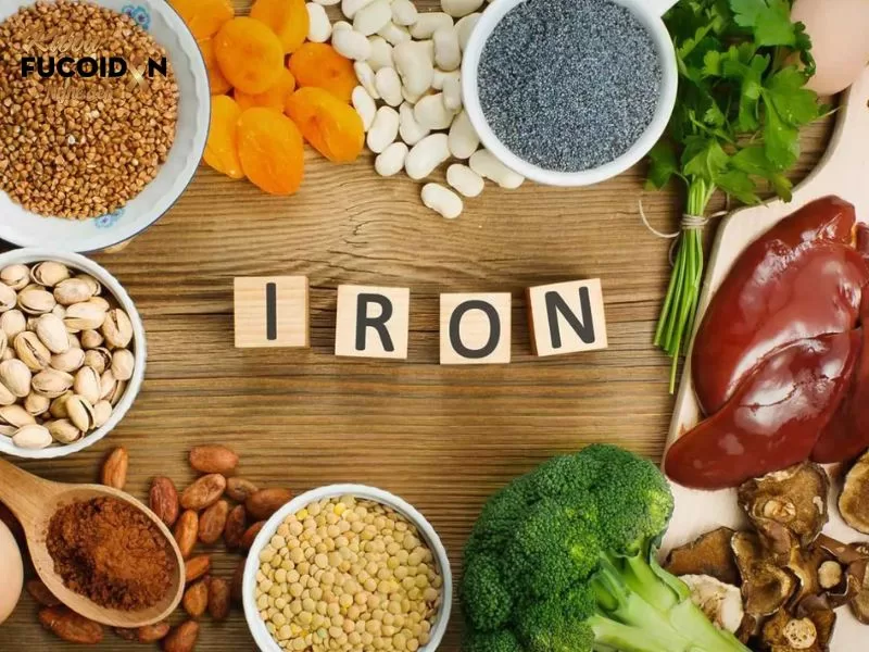Giải đáp chi tiết: Bệnh nhân ung thư ăn gì để tăng hồng cầu? Bệnh nhân ung thư tiêu thụ thực phẩm giàu sắt để tăng lượng hồng cầu