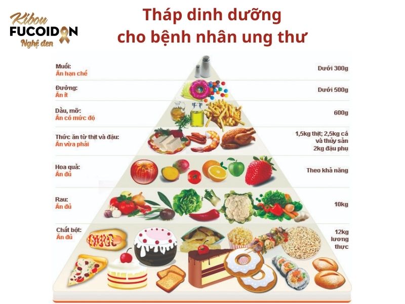 Xây dựng thực đơn ăn uống theo tháp dinh dưỡng