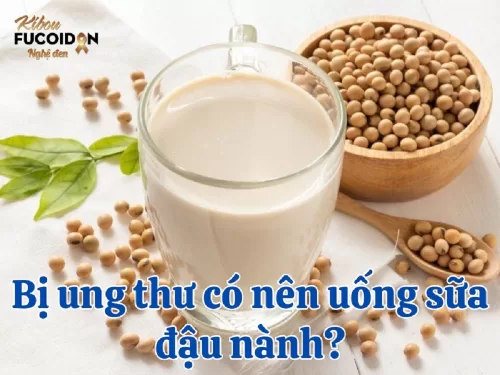 Giải đáp: Bị ung thư có nên uống sữa đậu nành không?
