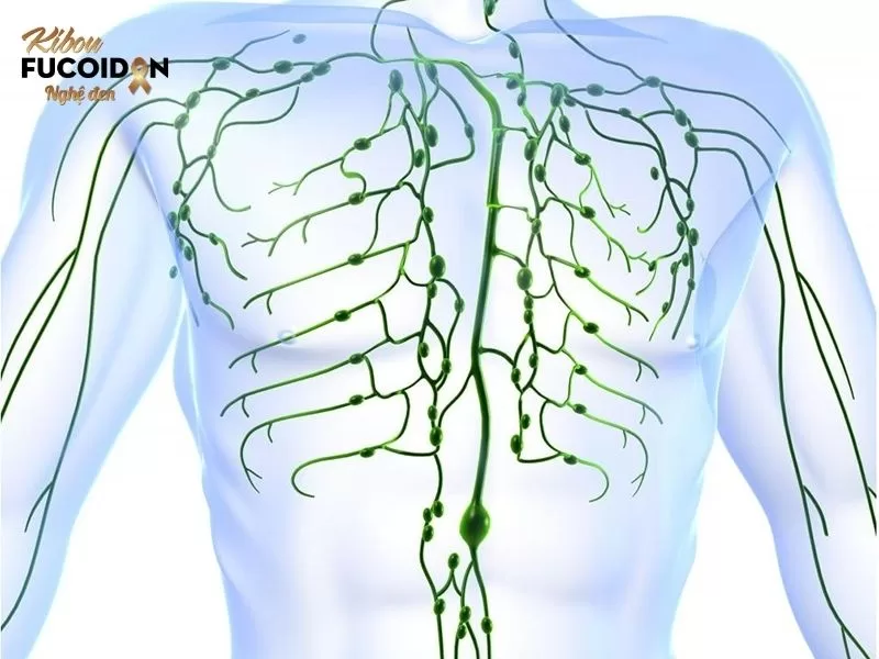 Ung thư tuyến giáp di căn và Những điều cần biết Tế bào ung thư sẽ xâm nhập vào hệ thống bạch mạch và di căn tới các cơ quan trong cơ thể