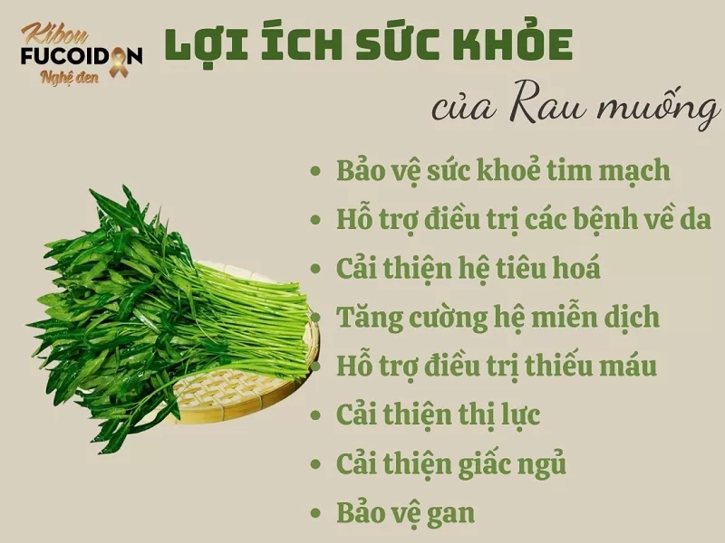 Giải đáp: Ung thư có ăn được rau muống không? Lợi ích của rau muống đối với người ung thư