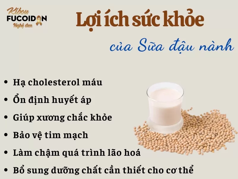 Giải đáp: Bị ung thư có nên uống sữa đậu nành không? Lợi ích của sữa đậu nành đối với người bệnh ung thư