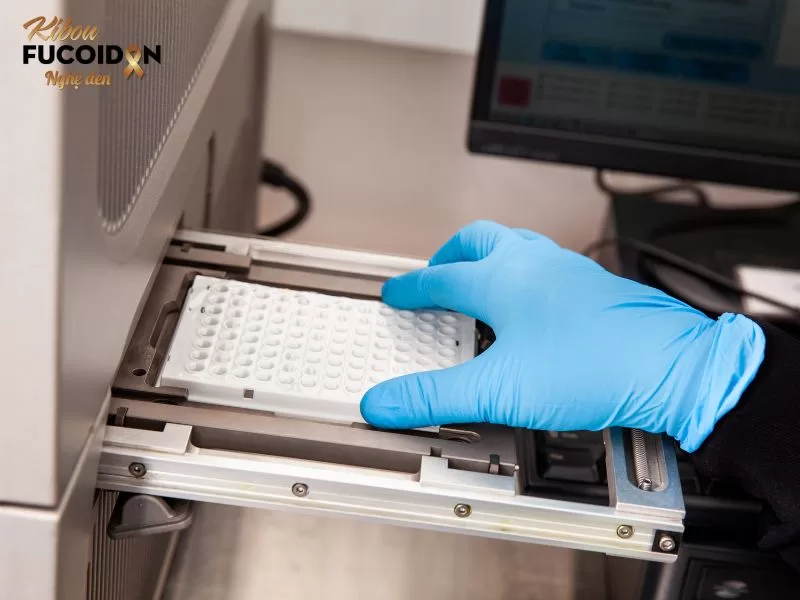 Ung thư có di truyền không? Làm sao khi mang gen di truyền ung thư Kỹ thuật PCR (Polymerase Chain Reaction)