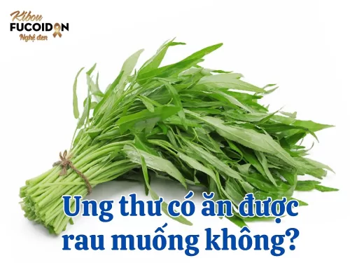 Giải đáp: Ung thư có ăn được rau muống không?