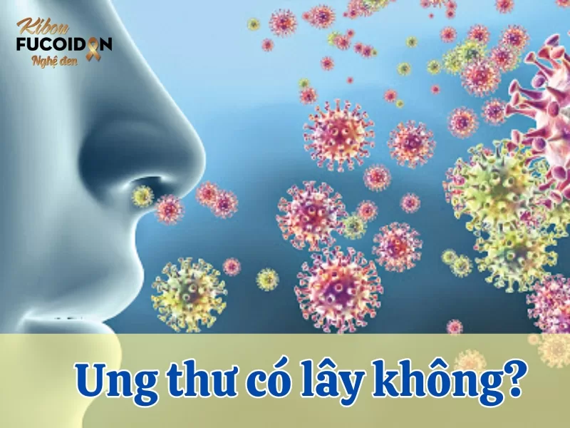 Chuyên gia giải đáp: Ung thư có lây không? Ung thư có lây từ người này sang người khác không?