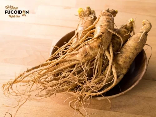 Nhân sâm, một loại thảo mộc quý hiếm được mệnh danh là "linh dược của đất trời",