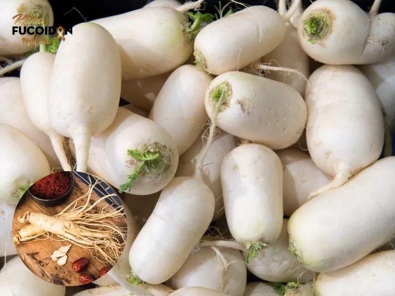 Người bị ung thư có nên uống nhân sâm không? Không nên ăn củ cải trắng khi uống nhân sâm