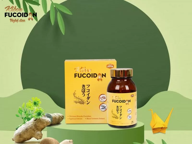 Fucoidan nước có đắt không? Có nên sử dụng không? Kibou Fucoidan