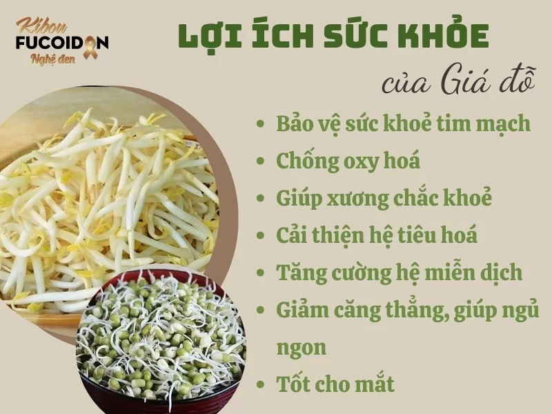 Ăn giá đỗ khi bị ung thư: Nên hay không nên? Lợi ích của giá đỗ với người ung thư