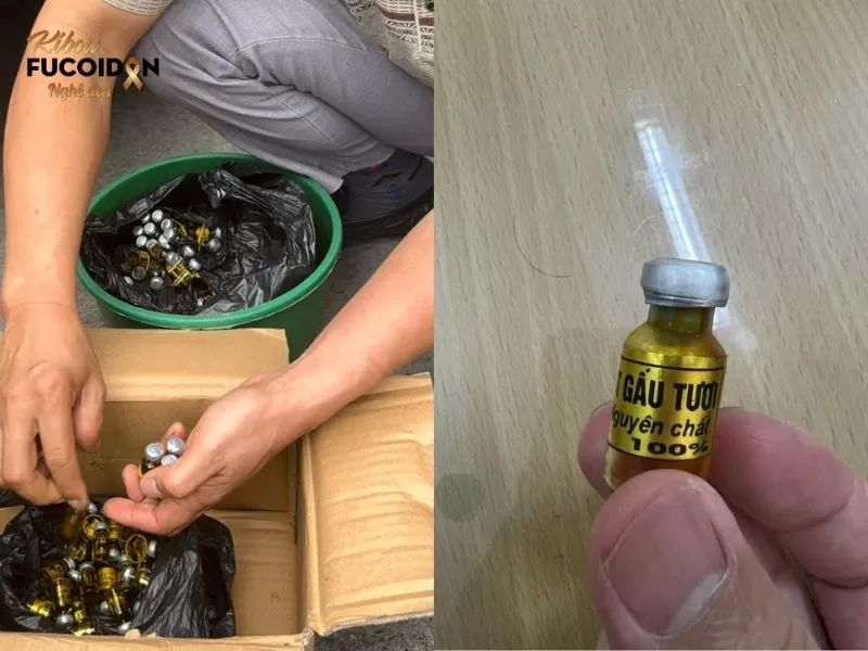 Mật gấu hay còn gọi là hùng đởm