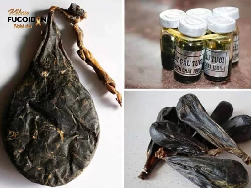 Tác dụng của mật gấu với bệnh ung thư gần như không có