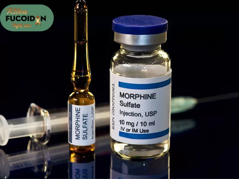 Những điều cần biết về thuốc giảm đau ung thư Morphin là thuốc hiệu quả nhất đối với các trường hợp đau nặng
