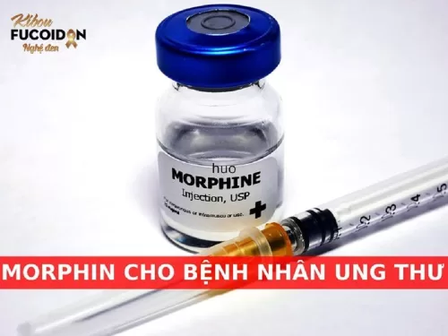 Cẩm nang từ A - Z khi dùng thuốc morphin cho người ung thư