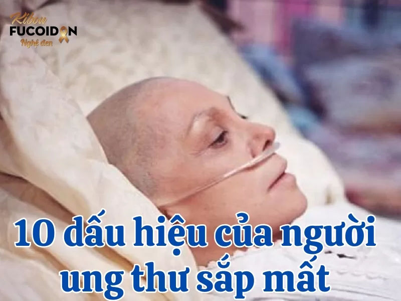 Người bệnh ung thư sắp qua đời có những dấu hiệu gì?