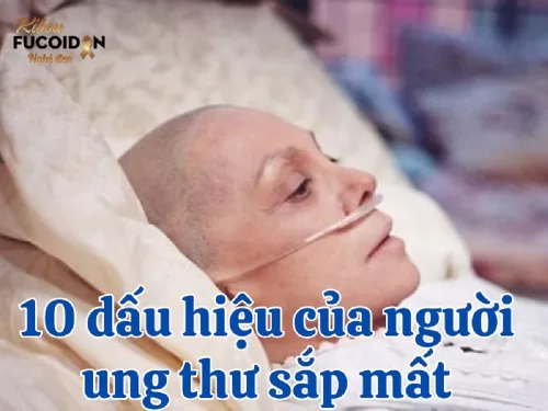 10 Dấu hiệu sắp chết của người bị ung thư và cách giảm nhẹ