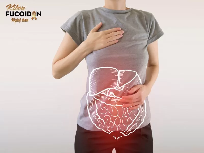 Đậu bắp giúp cải thiện hệ tiêu hóa 