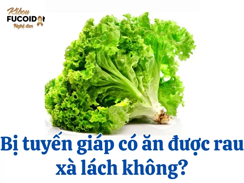 Giải đáp thắc mắc: Bị tuyến giáp có ăn được rau xà lách không? Những người bị tuyến giáp có ăn được rau xà lách không?