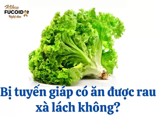 Giải đáp thắc mắc: Bị tuyến giáp có ăn được rau xà lách không?