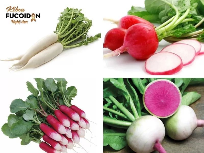 Một số loại củ cải