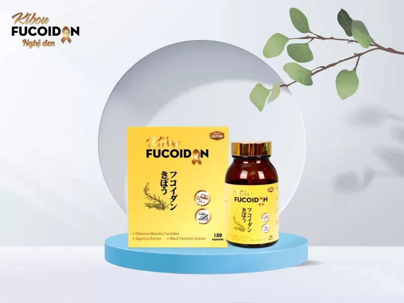 Kibou Fucoidan hỗ trợ phòng ngừa và điều trị ung thư cổ tử cung