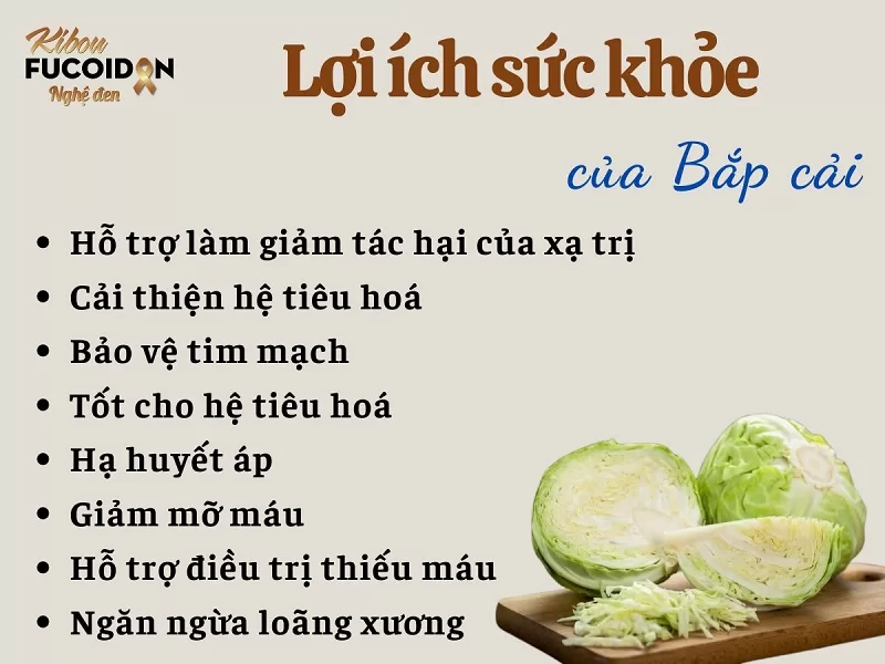 Giải đáp: U tuyến giáp có được ăn bắp cải không? Lợi ích của bắp cải đối với người mắc u tuyến giáp