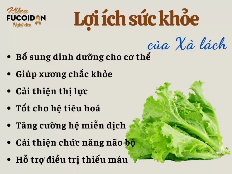 Giải đáp thắc mắc: Bị tuyến giáp có ăn được rau xà lách không? Lợi ích của rau xà lách đối với bệnh nhân tuyến giáp