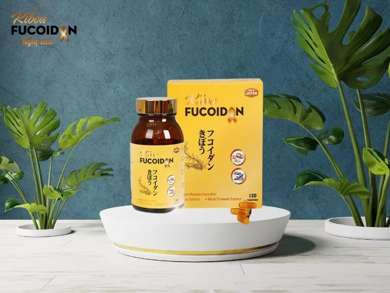 Kibou Fucoidan giúp nâng cao thể trạng, tăng cường sức đề kháng và hỗ trợ tiêu diệt tế bào ung thư