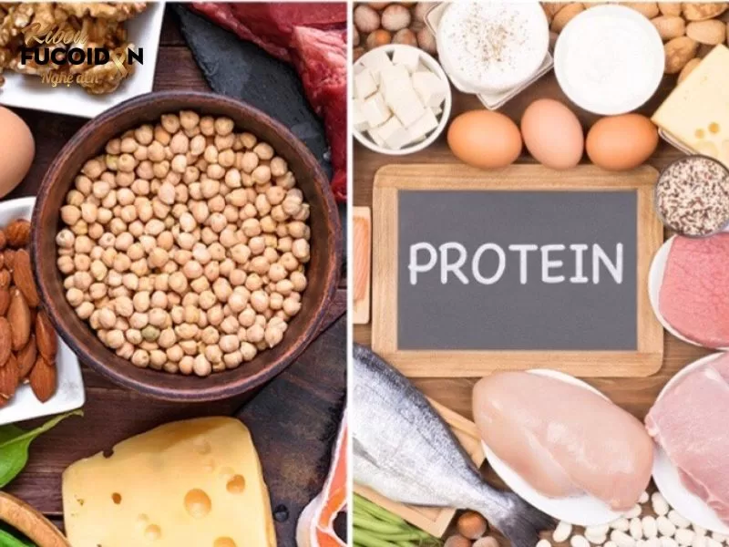 Giải đáp: Ung thư vòm họng nên ăn gì, kiêng gì? Thực phẩm giàu protein hỗ trợ quá trình lành vết thương nhanh chóng