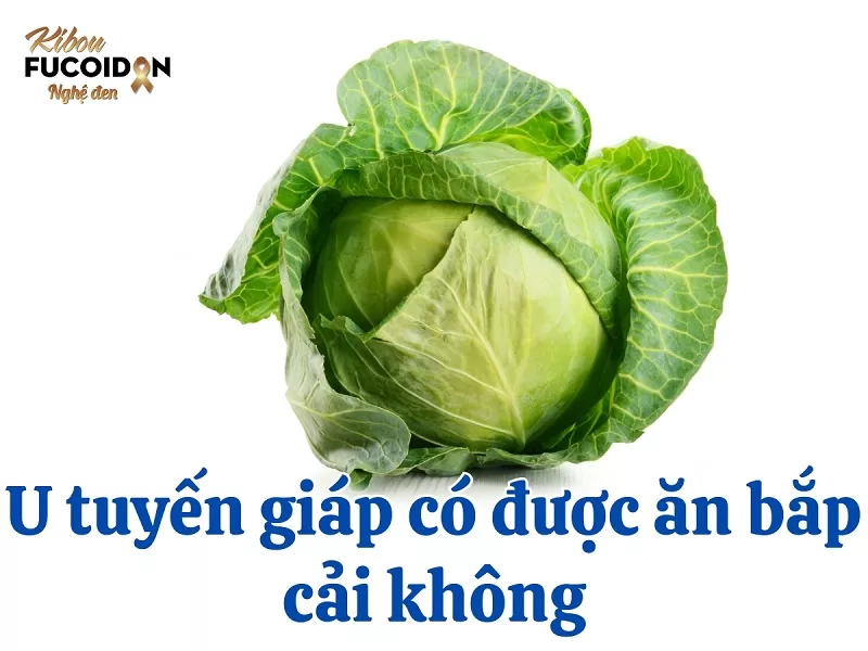 Giải đáp: U tuyến giáp có được ăn bắp cải không? Bị u tuyến giáp có được ăn bắp cải không?