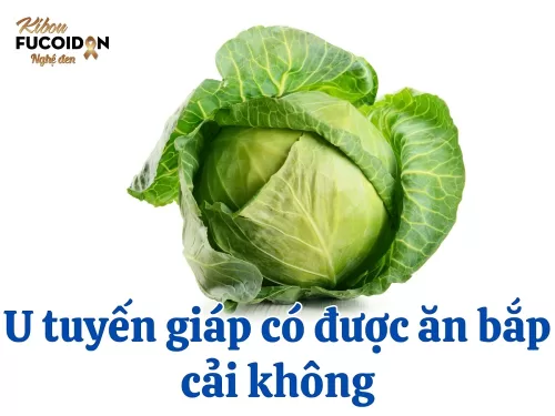 Giải đáp: U tuyến giáp có được ăn bắp cải không?