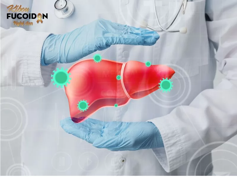 Cây xạ đen giúp thanh lọc cơ thể, hỗ trợ chức năng gan.