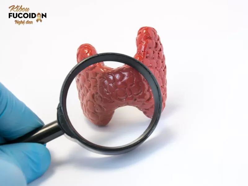 Phình giáp là bệnh gì? Phình giáp có nguy hiểm không? Hình ảnh minh họa tuyến giáp